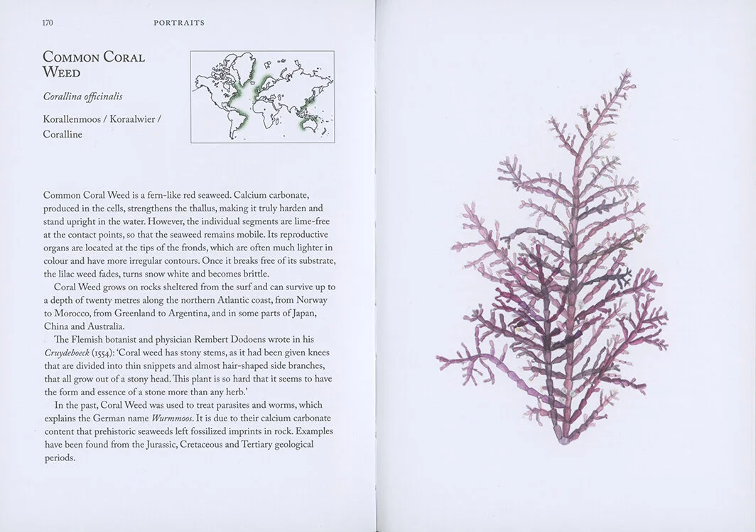 12.Seaweedhandbook.miekzwamborn.jpeg