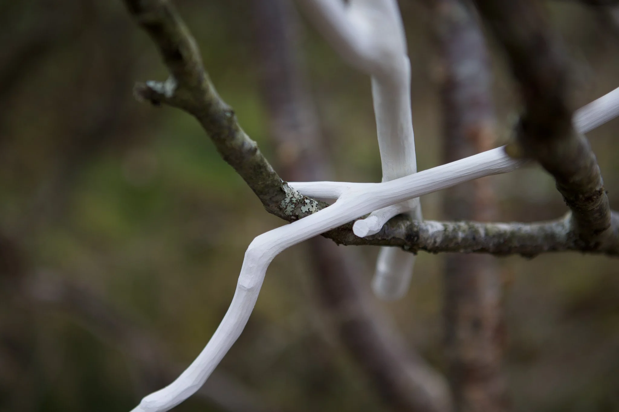 Song for Hazel and Birch