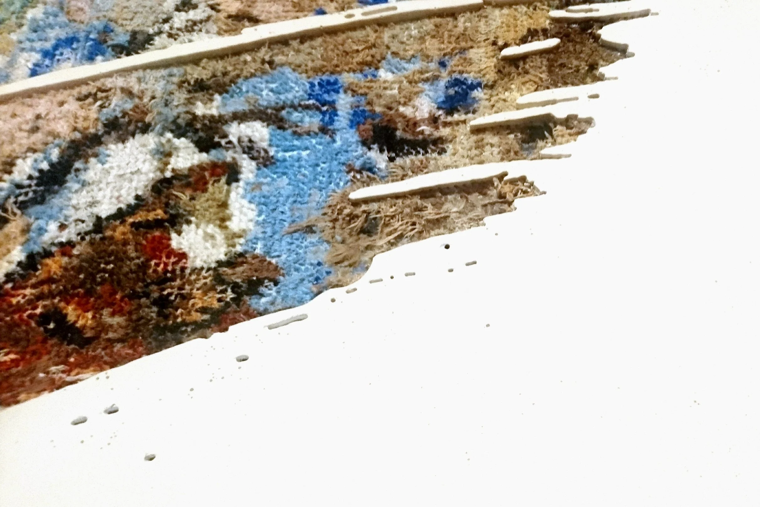 focus1.jpg