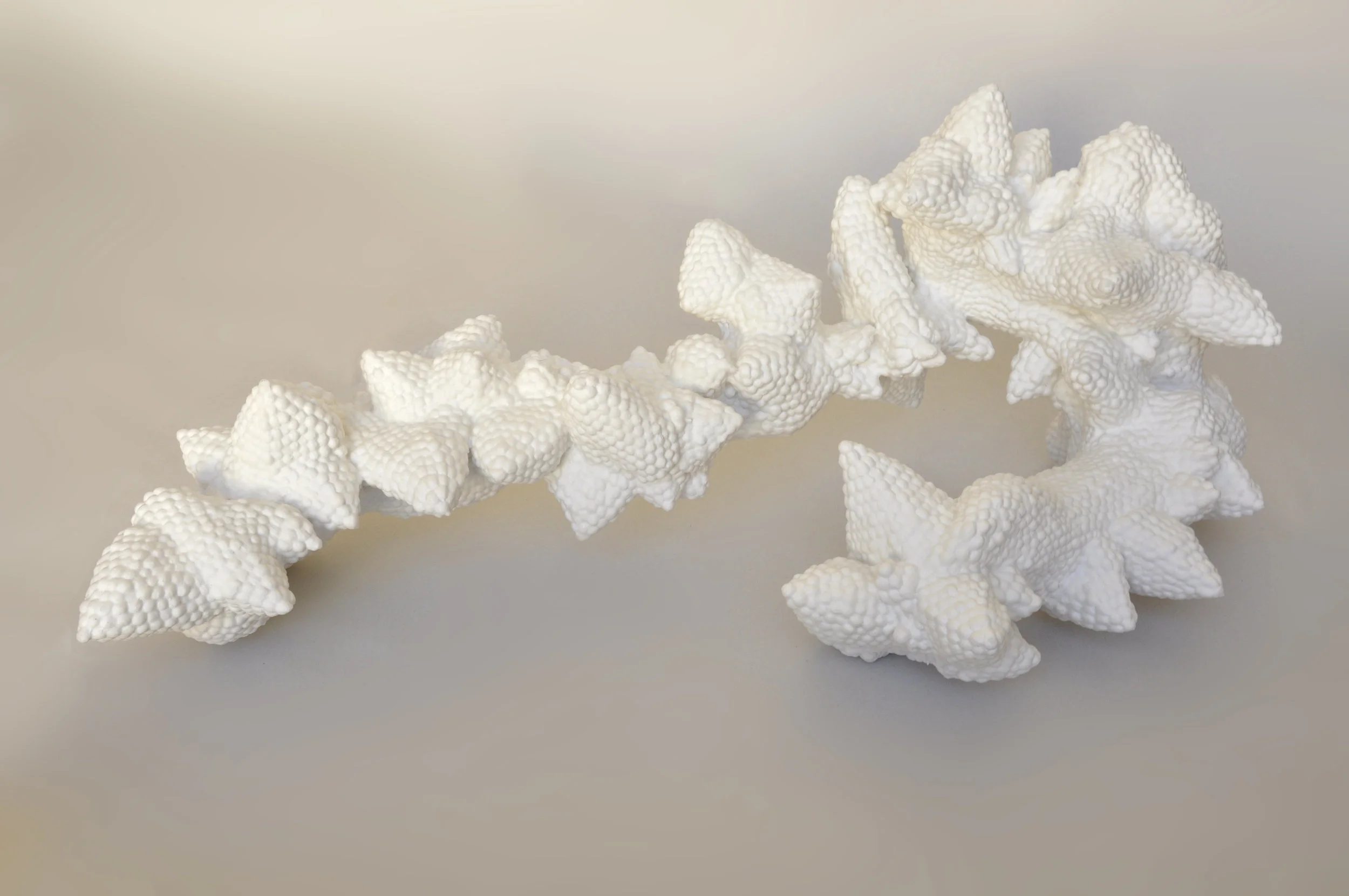 Concrétion 2018 Fibre végétale, résine 20 x 62 x 26 cm