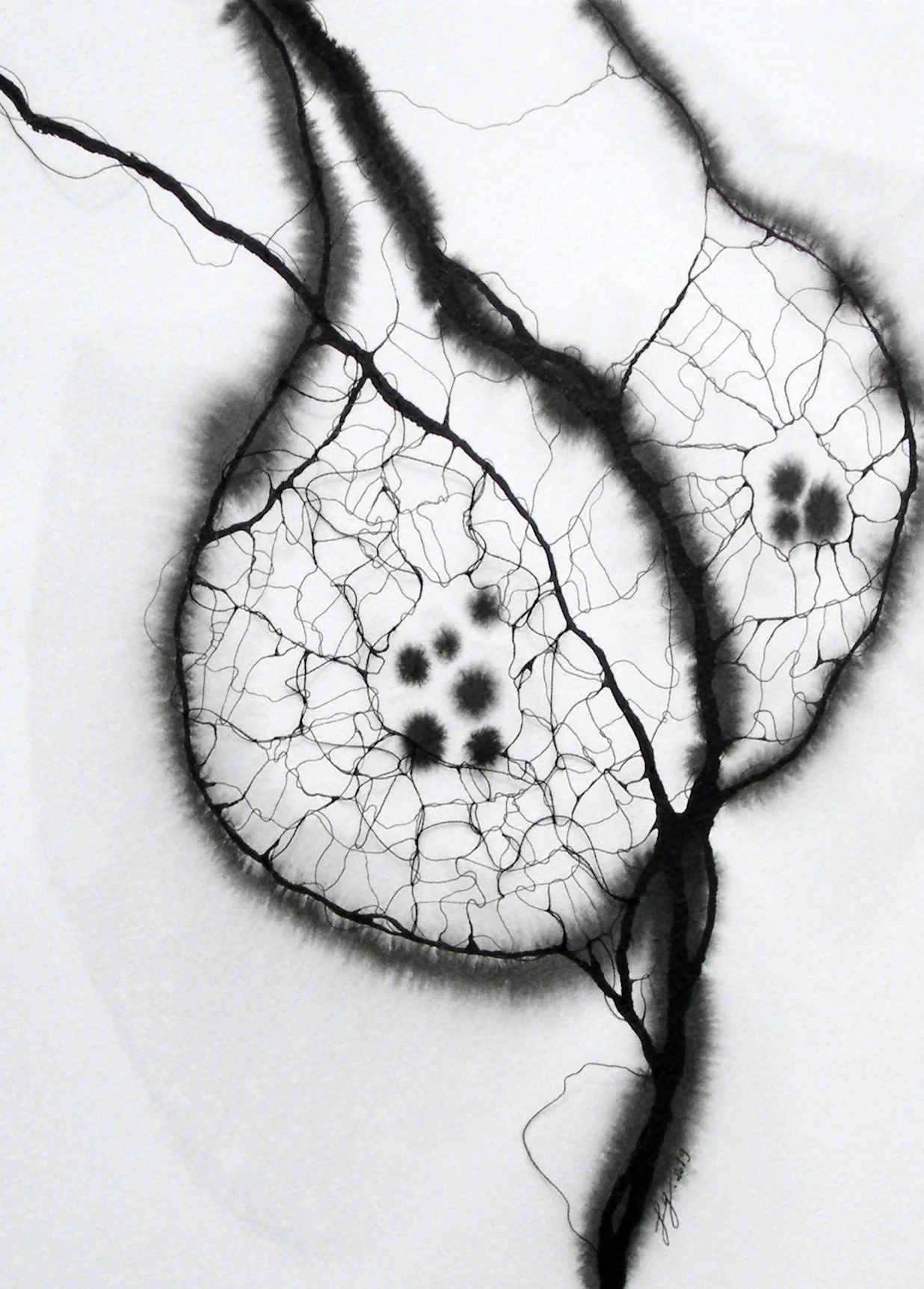 Déploiement , 2019 Encre de chine sur papier et tissu 40 x 30 cm