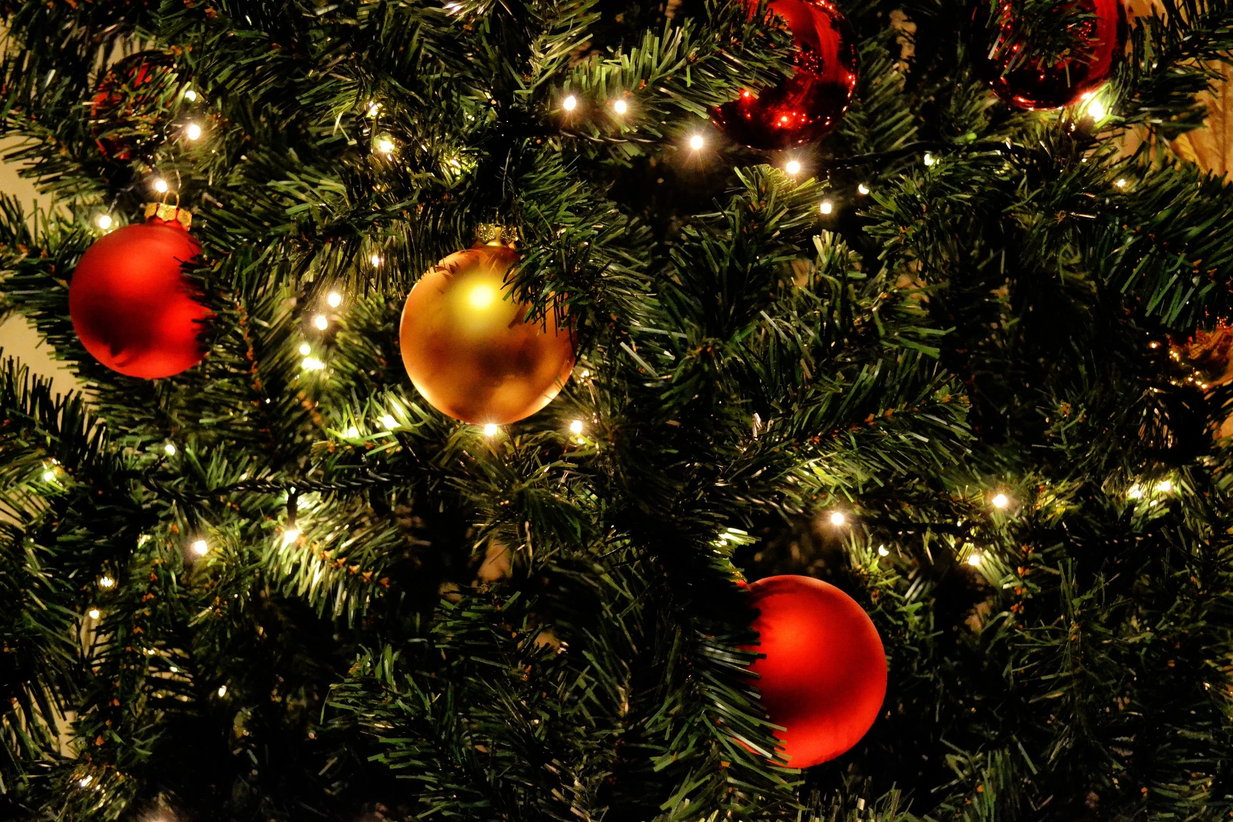 Live music for Christmas parties