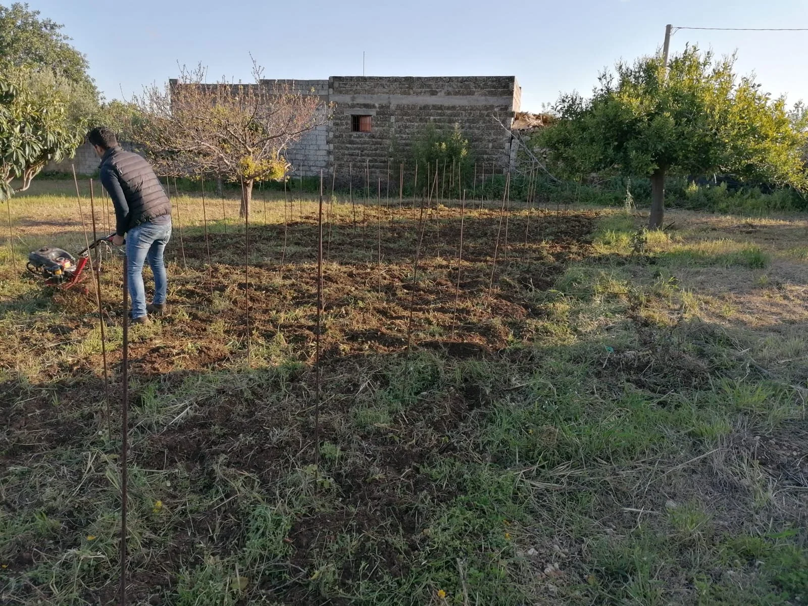 Si lavora per la bellezza della vigna