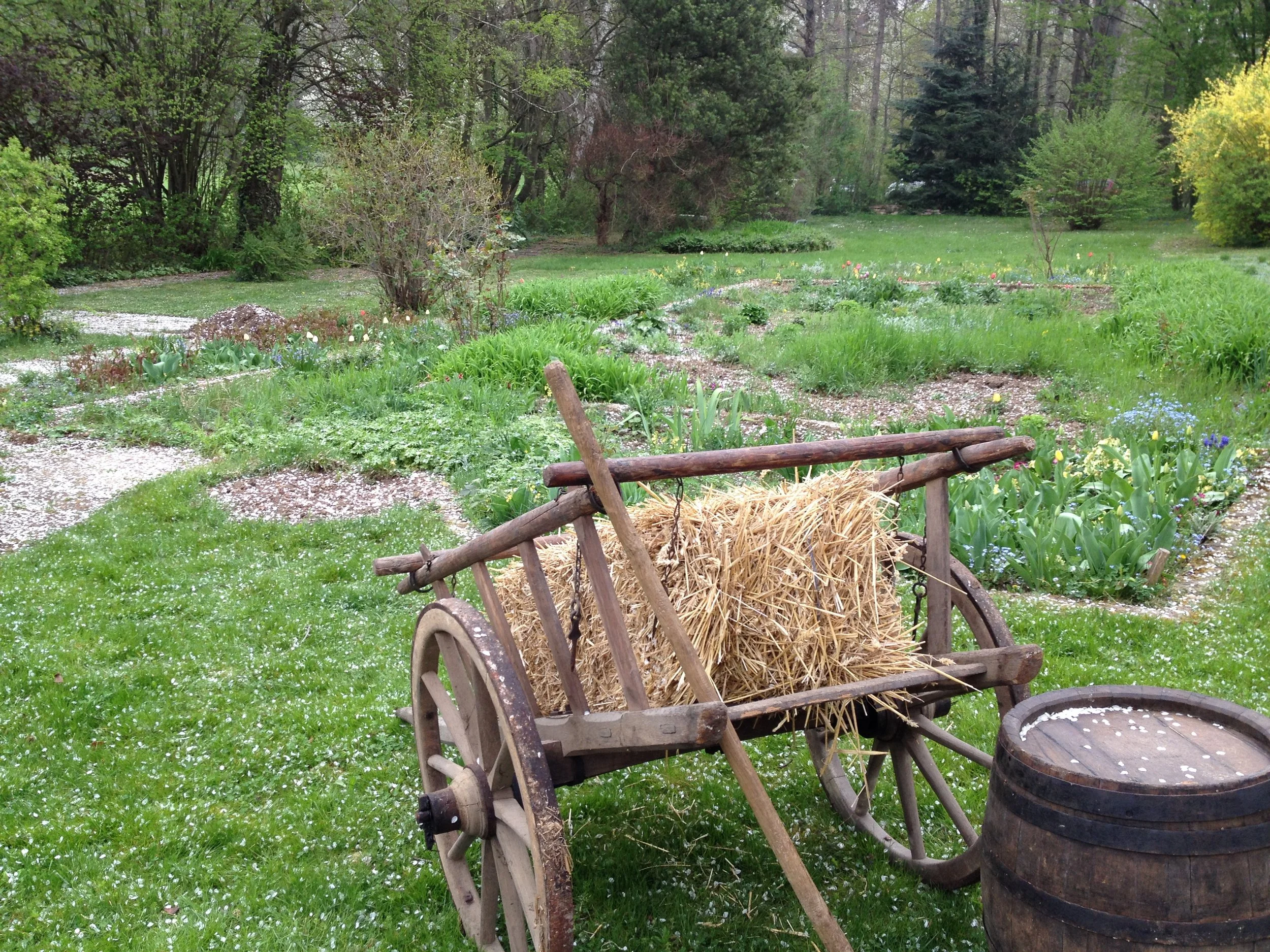 Schwäbischer Kurzfilm