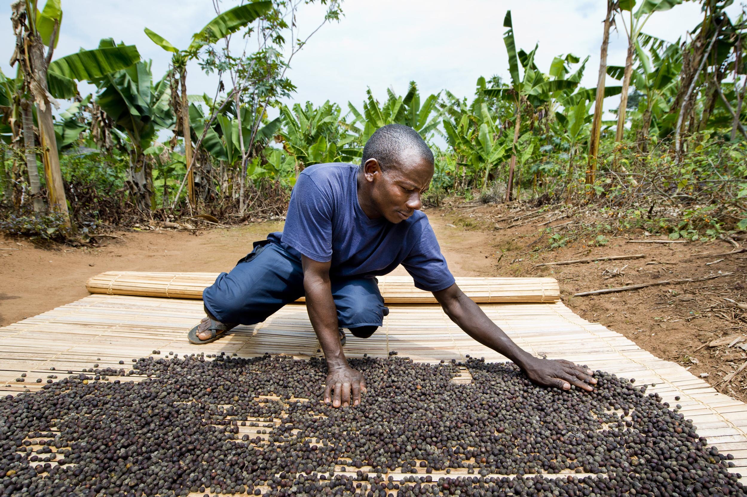 Fairtrade projects - Tanzania and Ghana