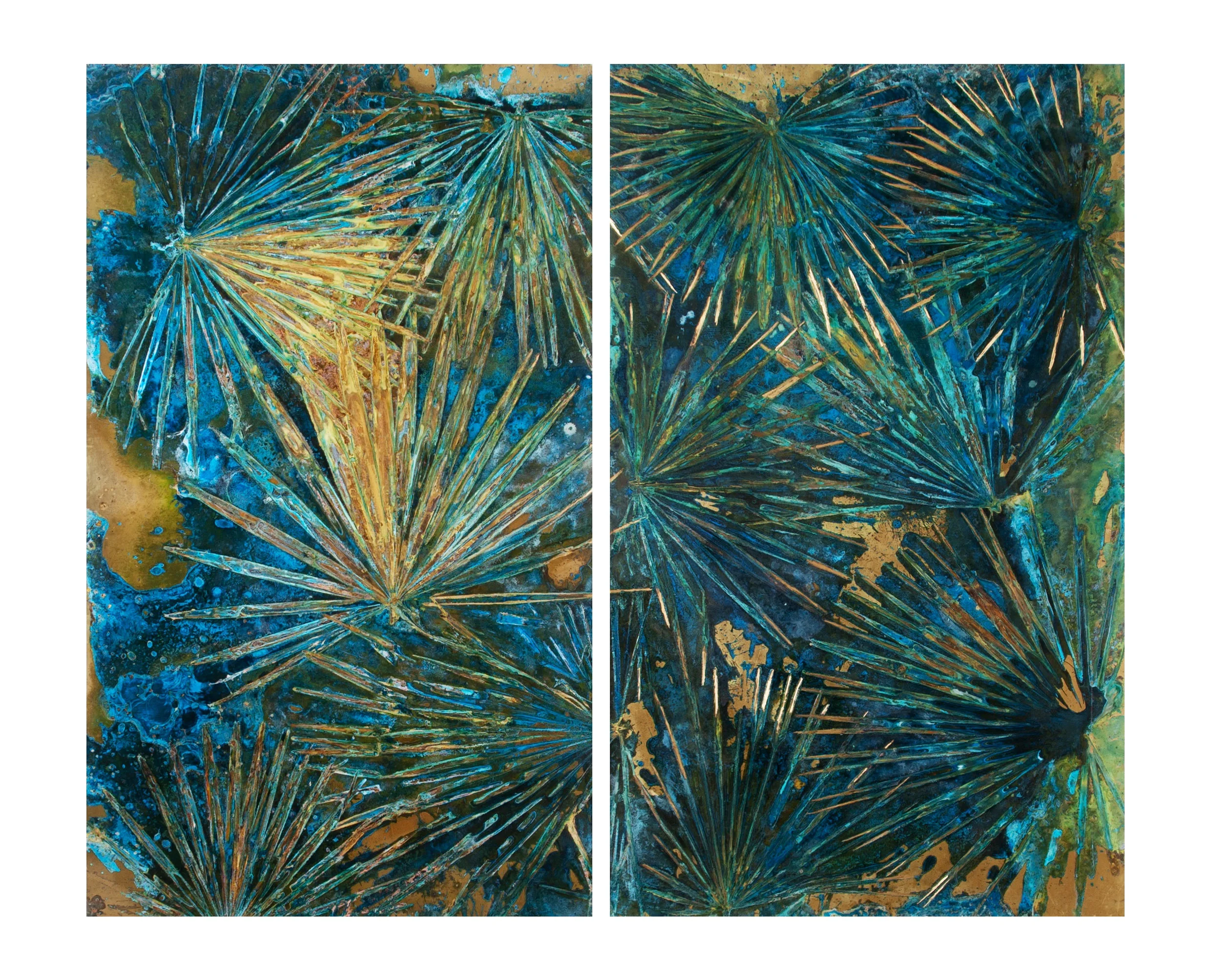 Chamaerops Humilis #3