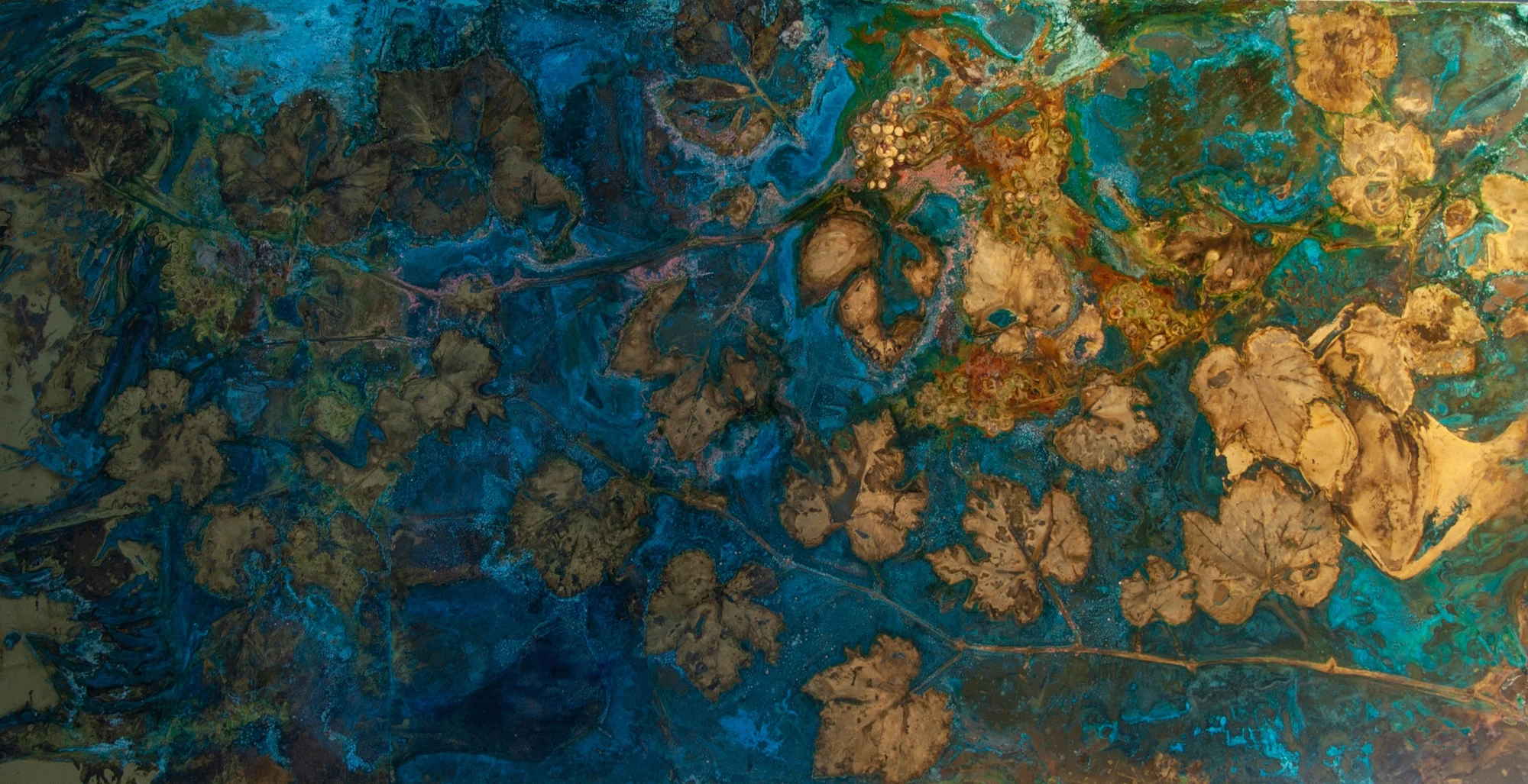 Vitis Vinifera # 2