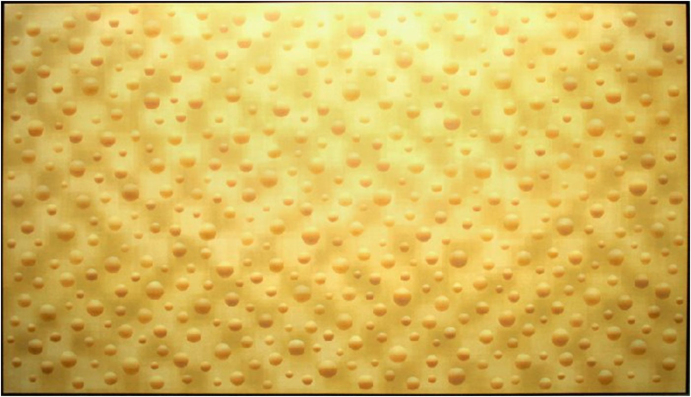 ABRASH MF LXX 2006 170x300 cm For Lysiane Schlechter