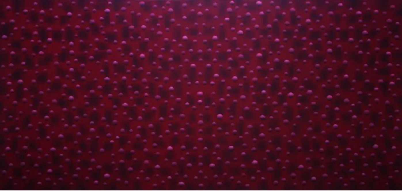 ABSORPTION MF LXXVIII 2008 - 2009 140x300 cm