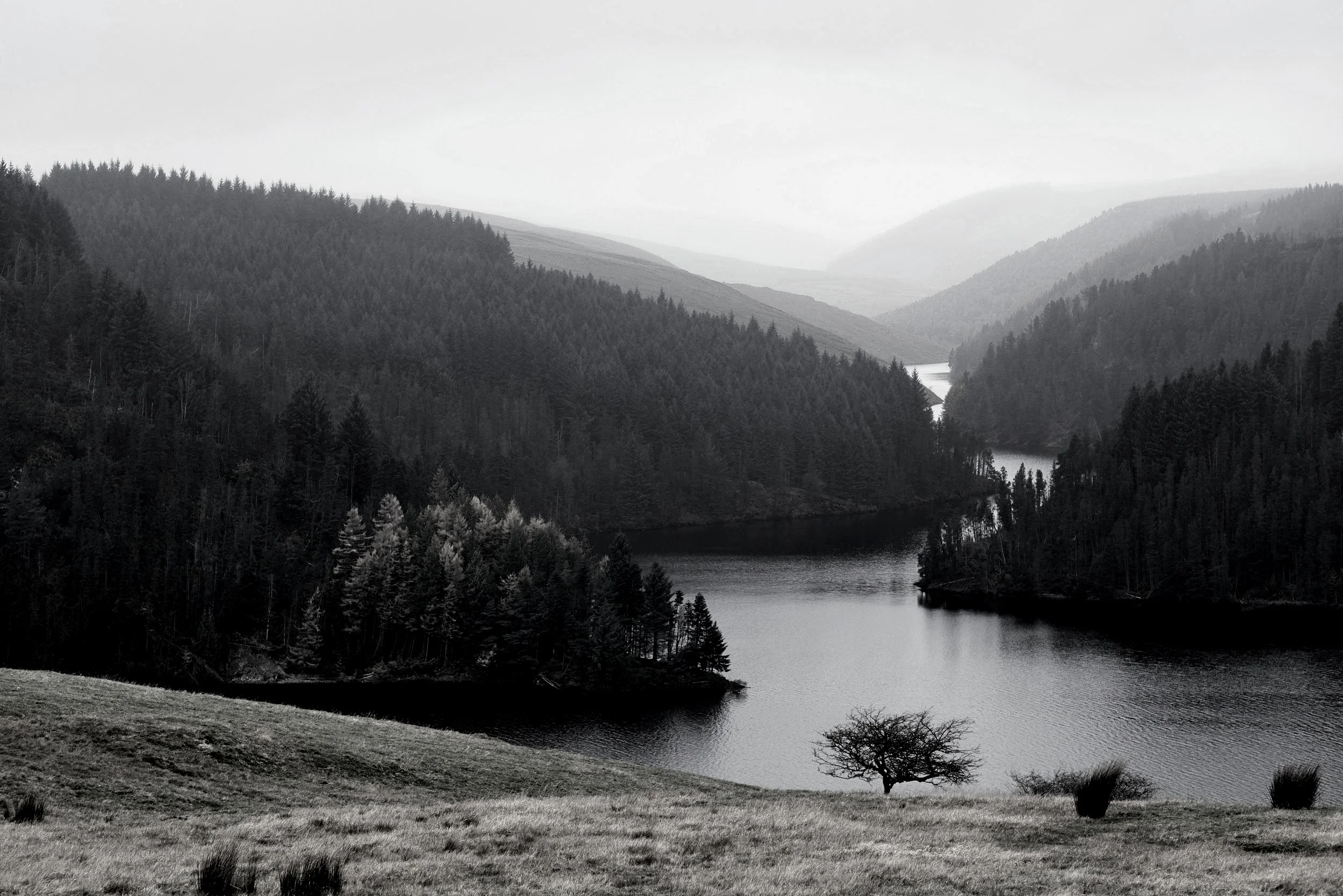 AdobeStock_125282106.jpg