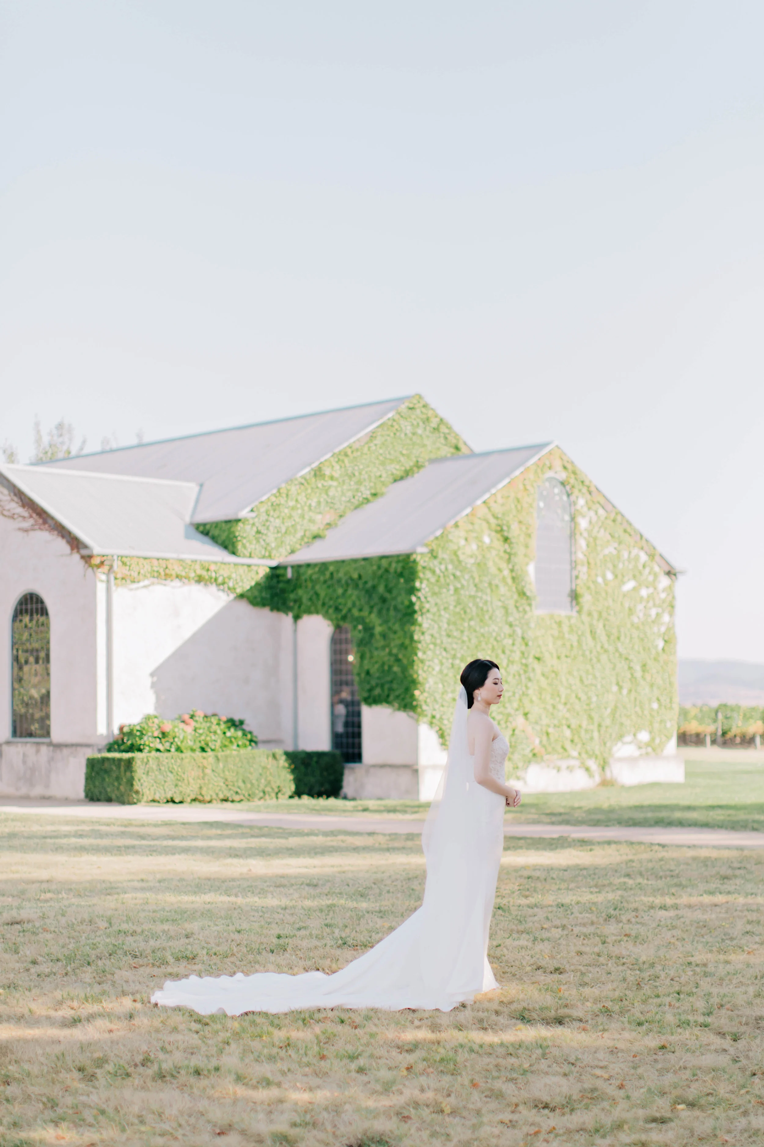 SMALL - KRIBKA-3279.JPG