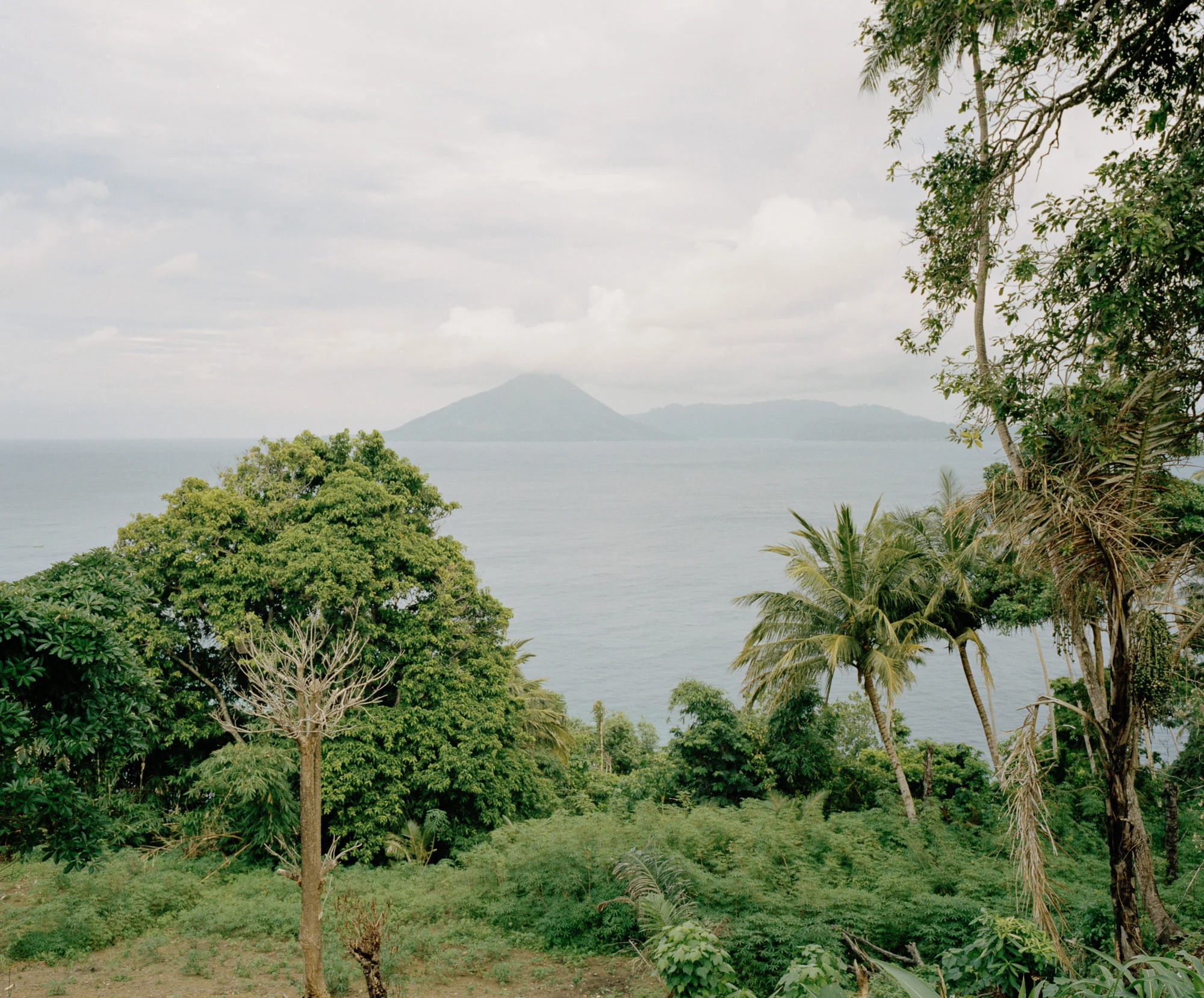 View of the main part of Banda Islands from the outlying Ay Island. Before the coming of Europeans, Banda was regularly visited by Arab, Chinese, Indian, and Malay traders looking for nutmeg.