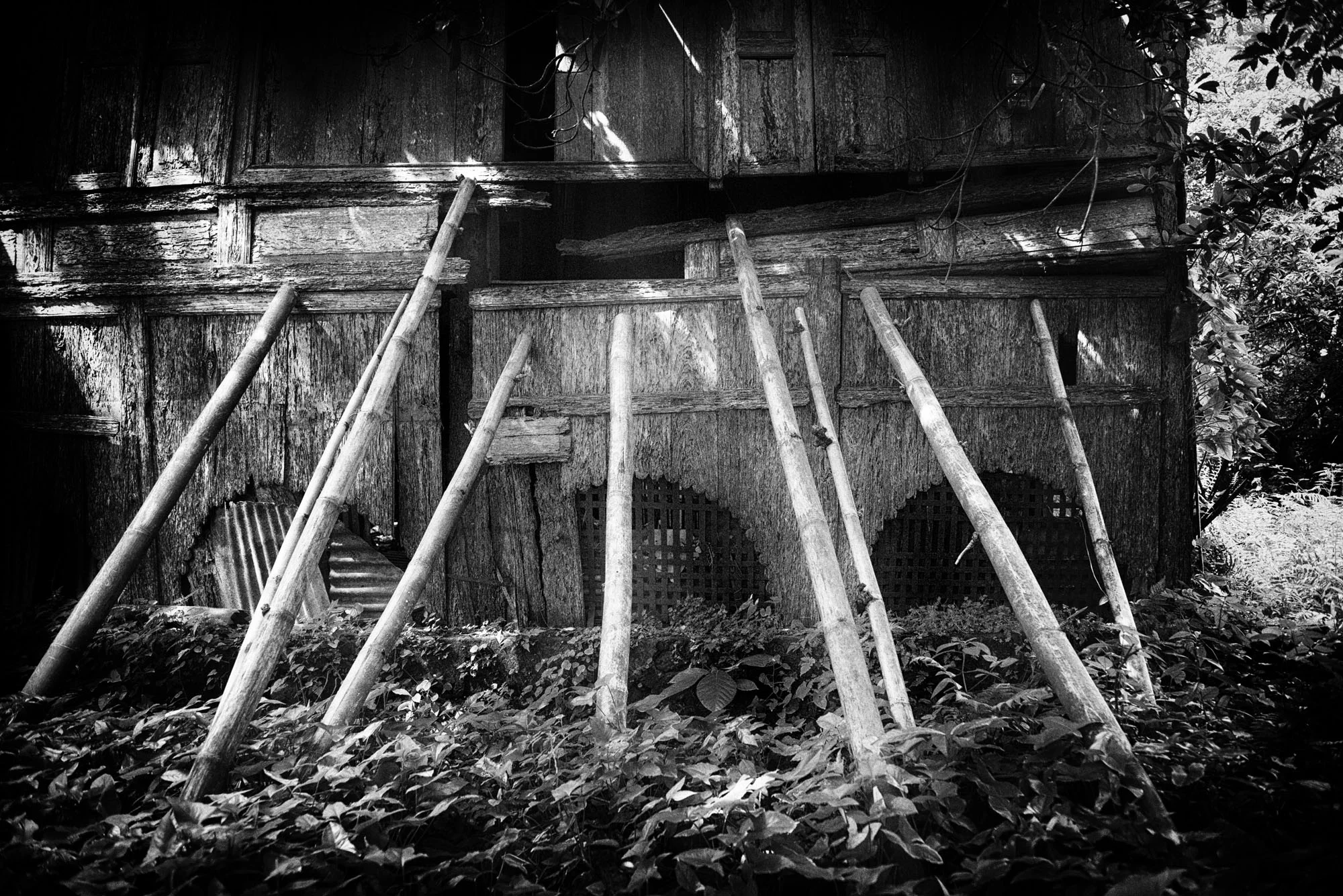 The bamboos are used to hold the wall of Rumah Gadang.
