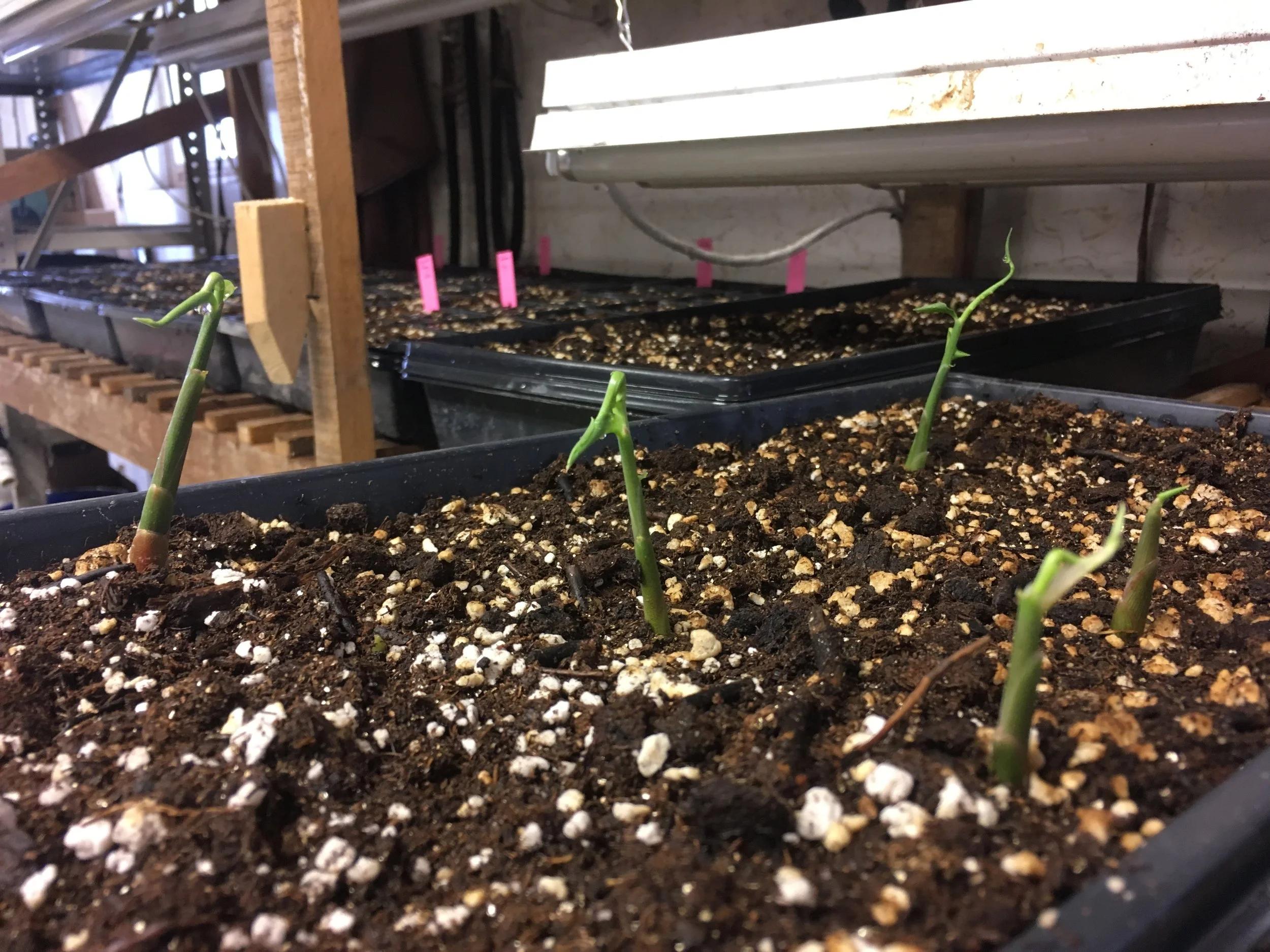 January, Almost Gone!