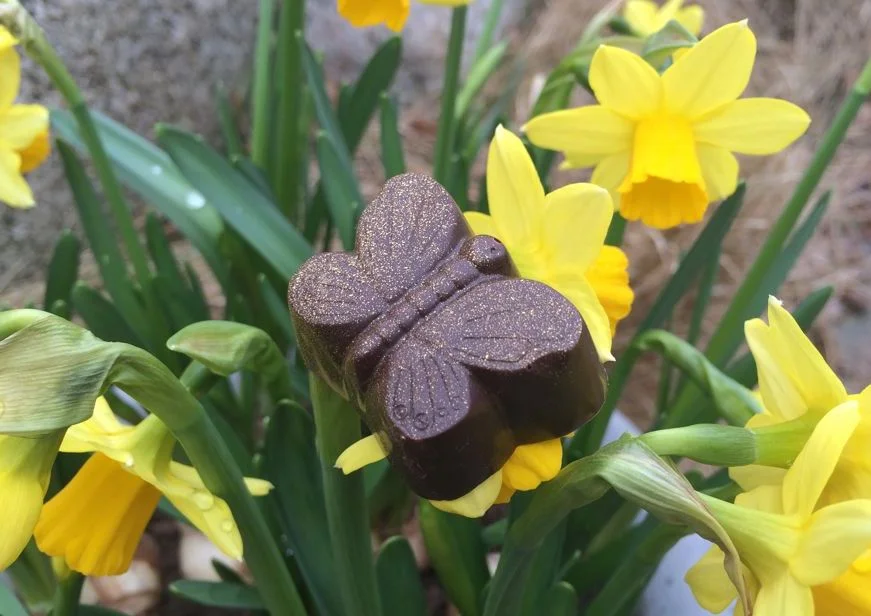 Pralinfjäril med citronfyllning