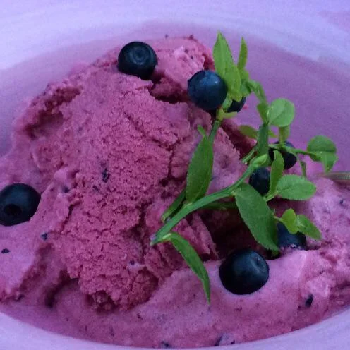 Egengjord blåbärsglass