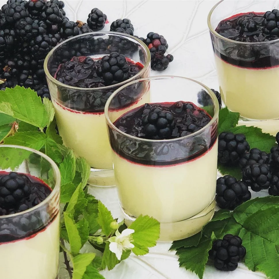 Somrig vaniljpannacotta med björnbärskompott