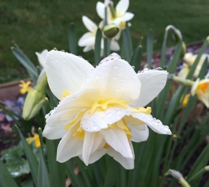 Rikedomens hemlighet