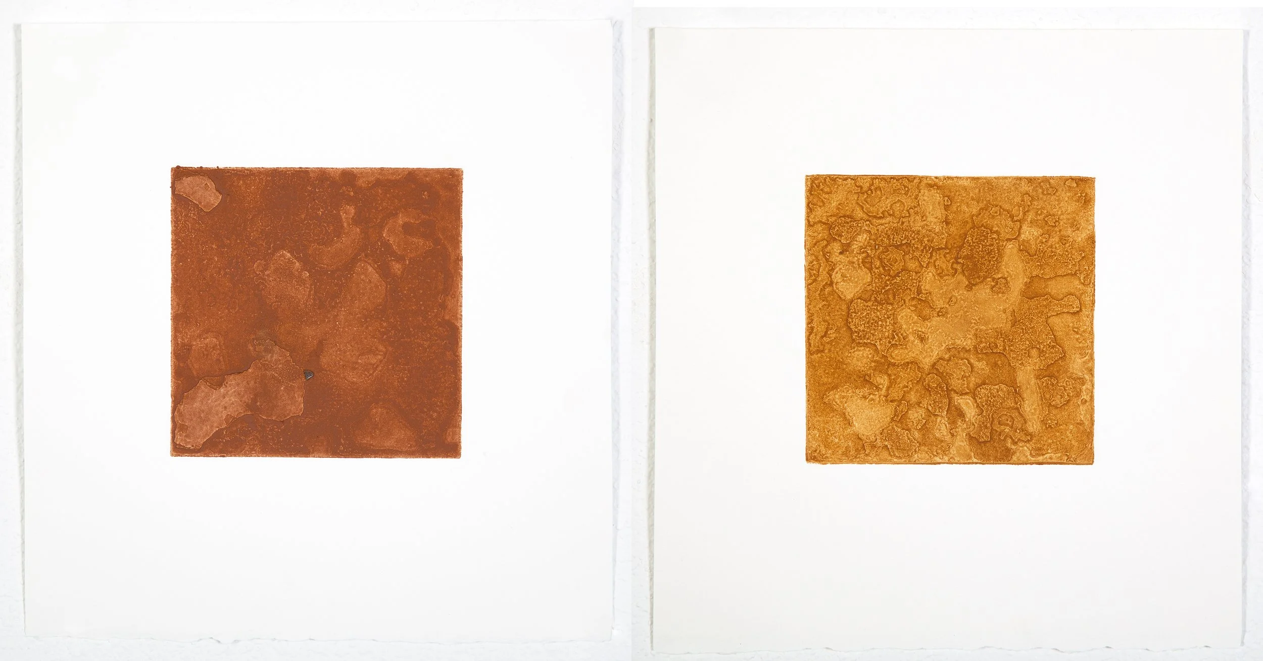 05_Craft_Degradation_Study_Number_2_A_and_B_Diptych.jpg
