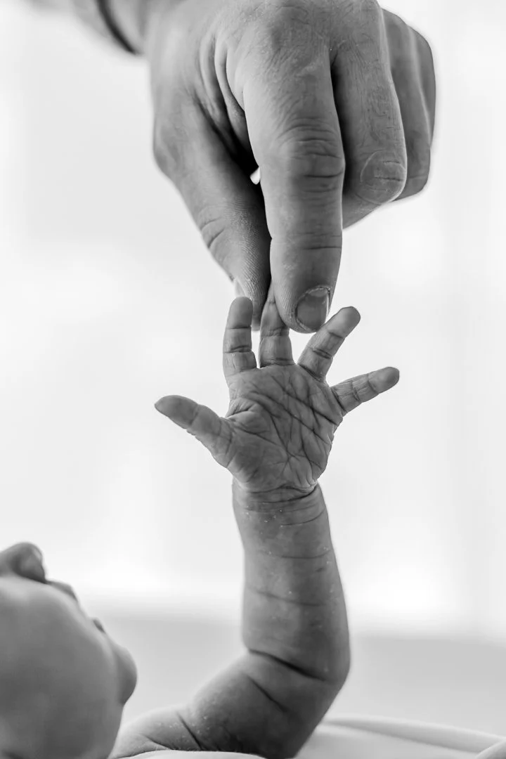 Newborn Shooting