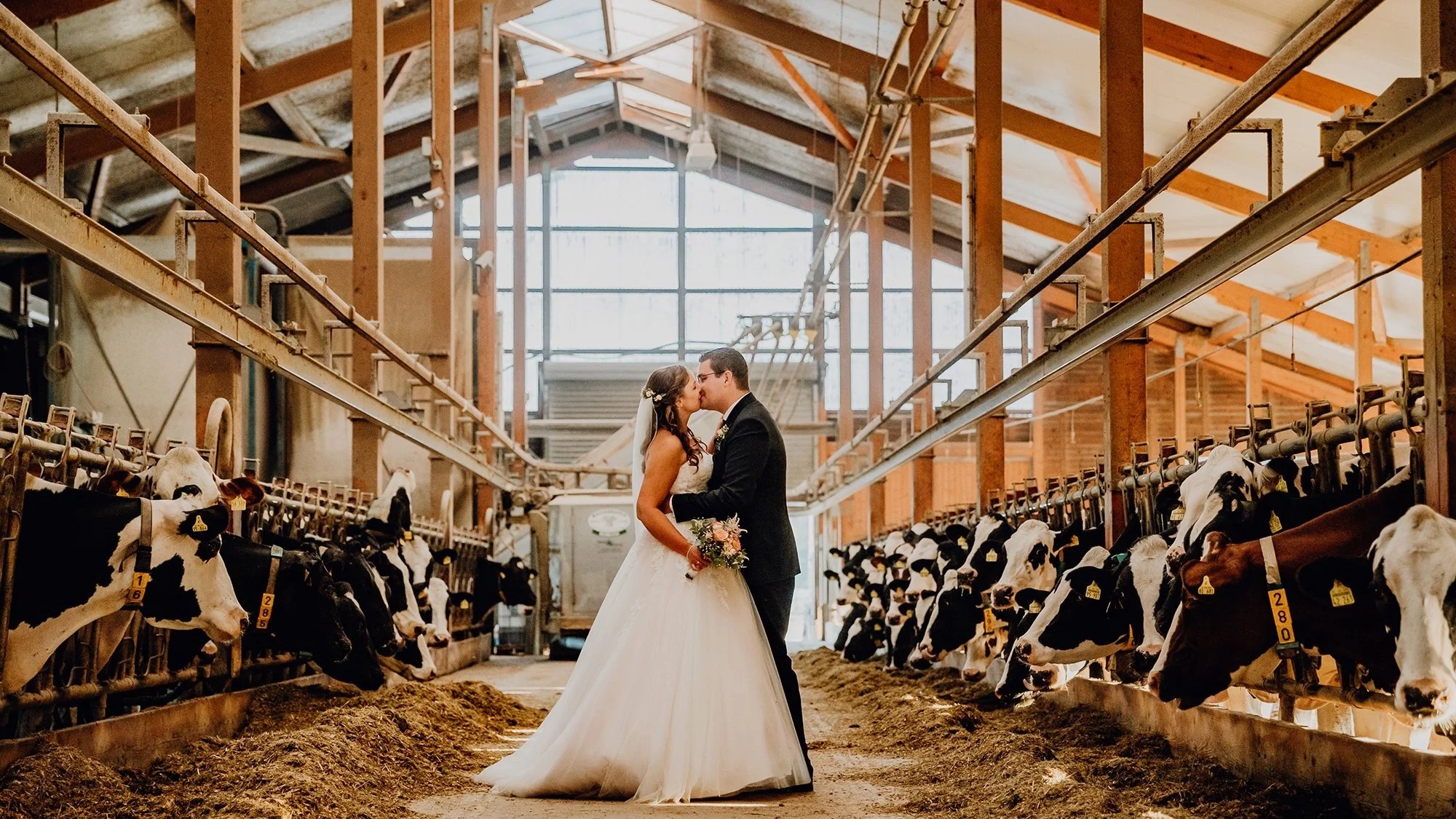 Hochzeit von Katharina &amp; Stefan