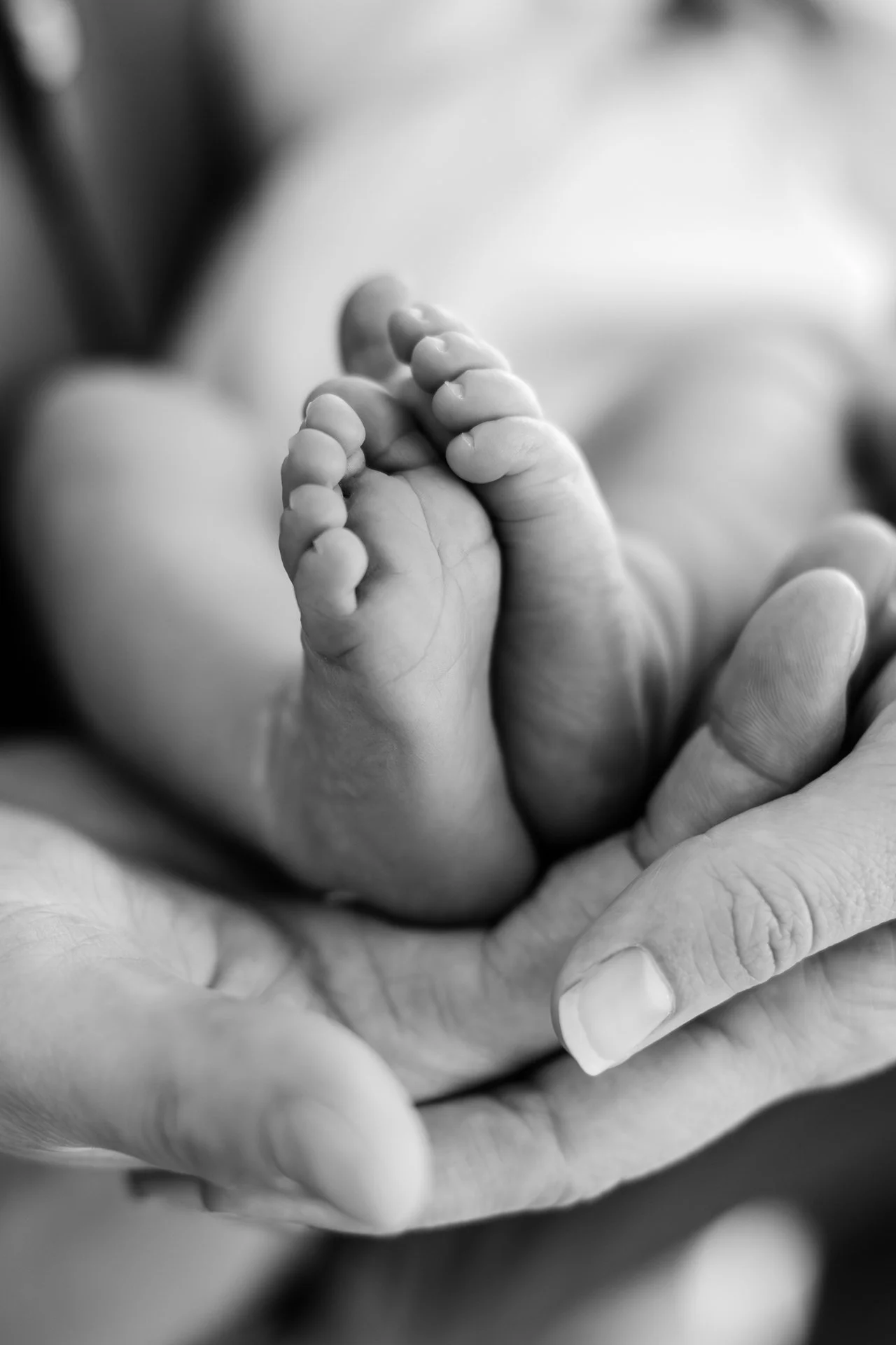 Neugeborenenfotos Kassel