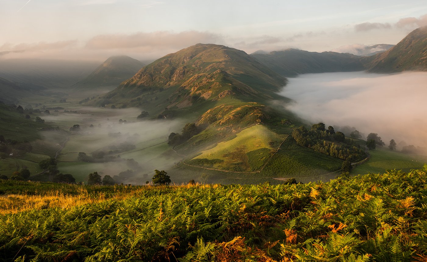 Martindale Mist - Myles Pinkney