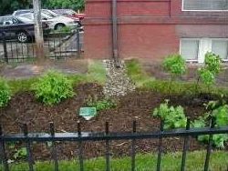 Downspout disconnection (Source: LID Center )
