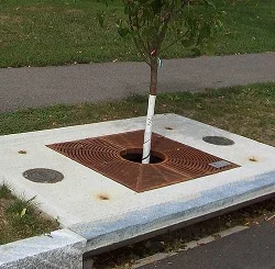 Tree box filter