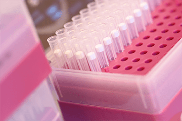 MRI Used to Screen for Breast Cancer