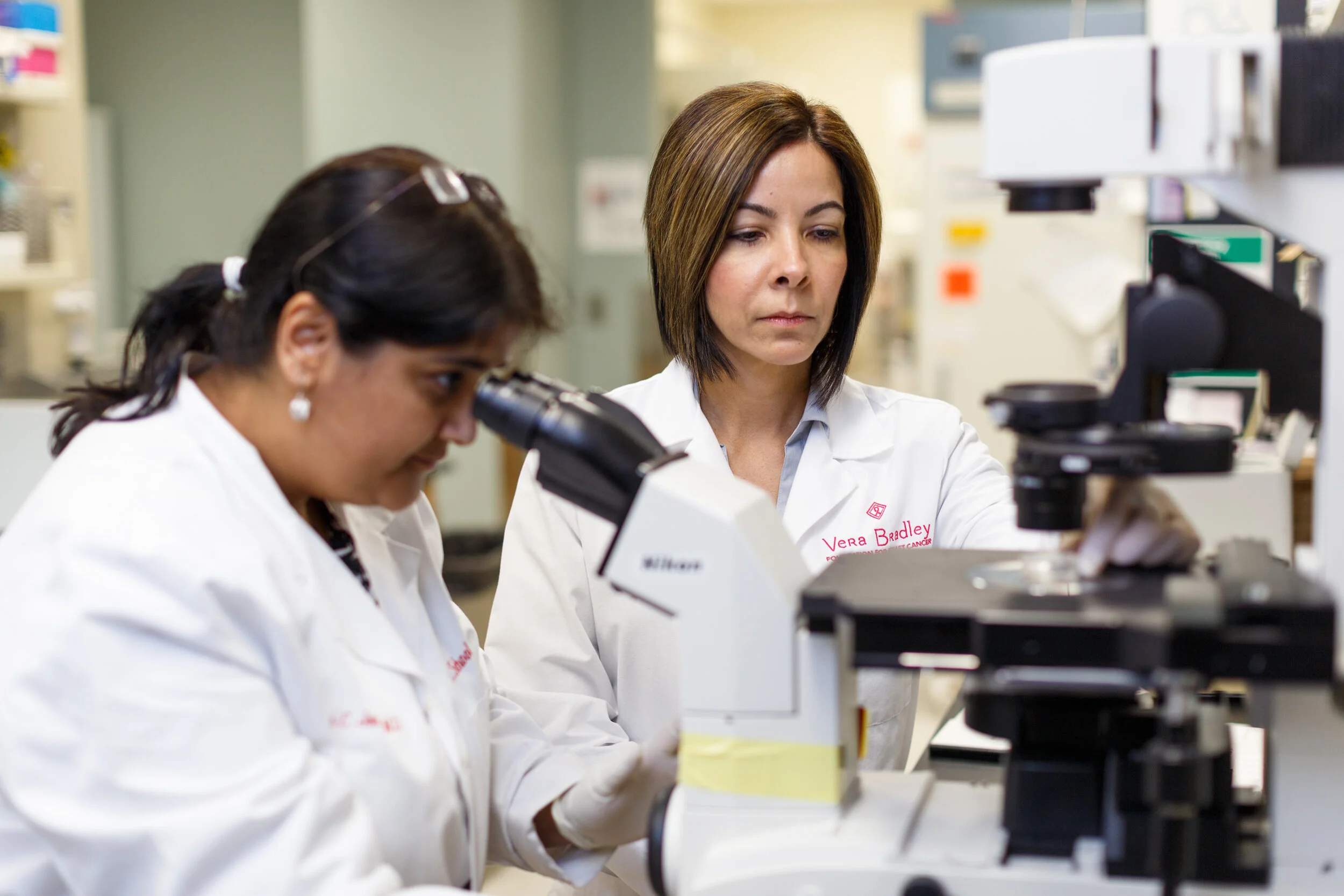 Understanding Breast Cancer Research 