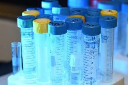 Clinical Trials: PERSEVERE