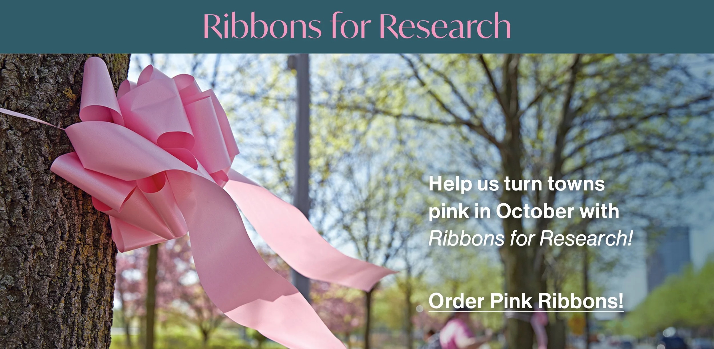2024 Ribbons Home Page.jpg