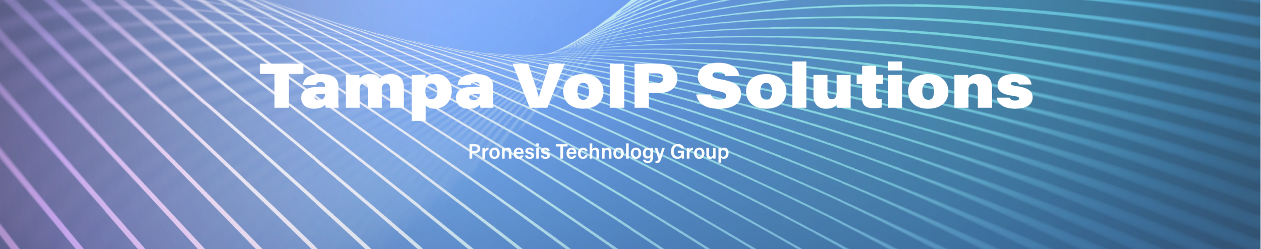 VOIP Web Banner.png
