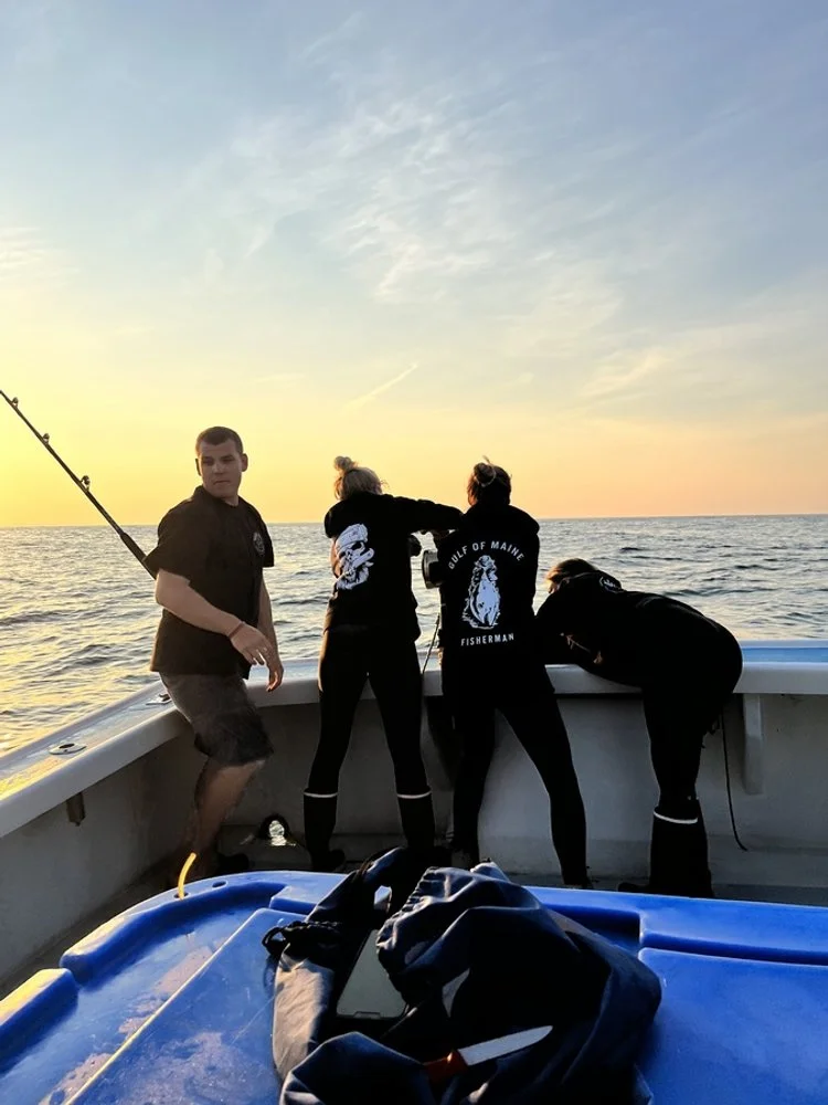 Rugged Seas in the News! — RUGGED SEAS