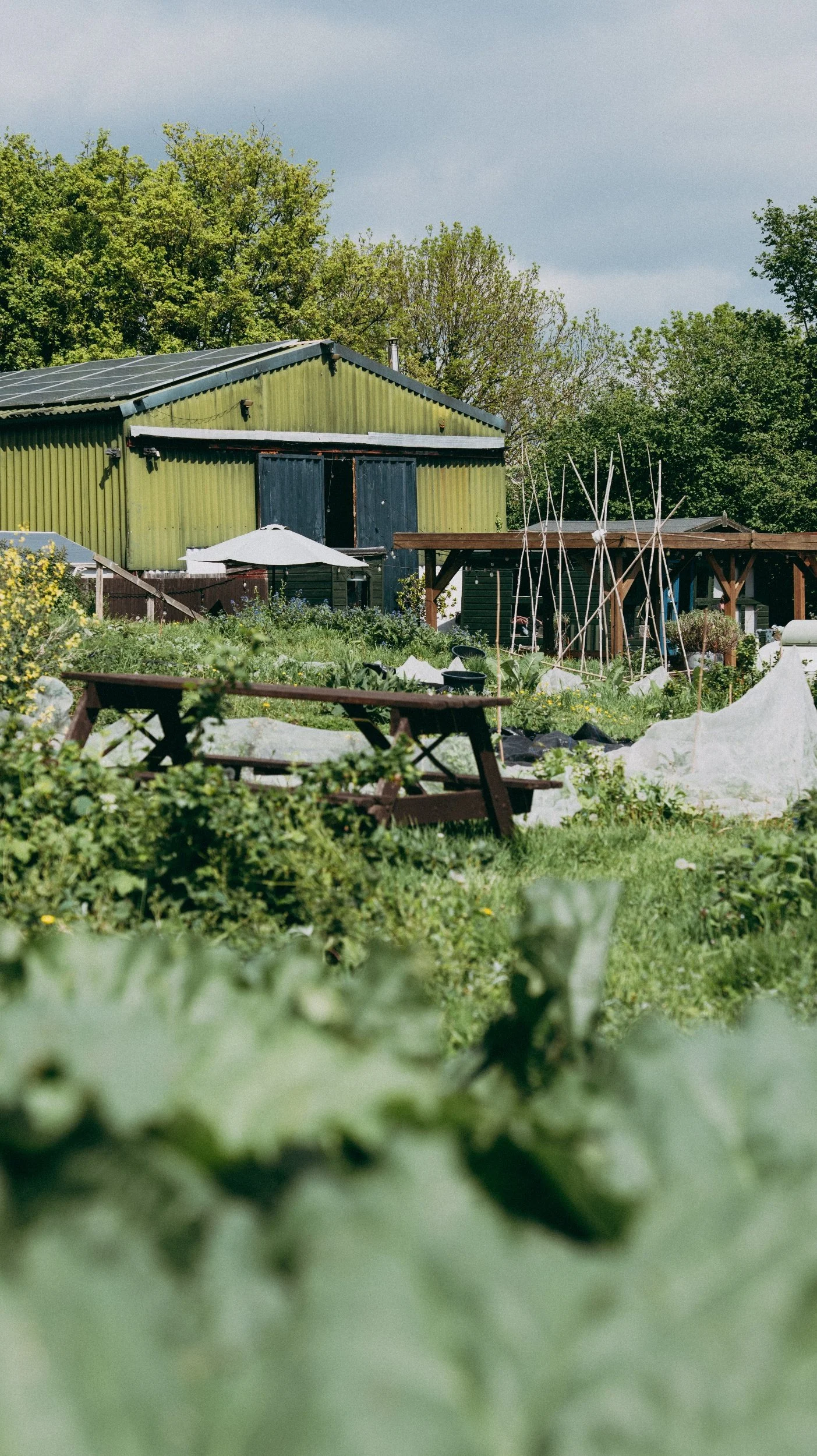 A green barn with black doors and a partially visible white umbrella in a lush garden with trees, a wooden canopy, and gardening structures.