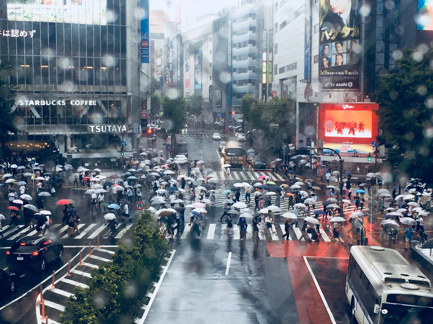 JapIMG_5395.jpg