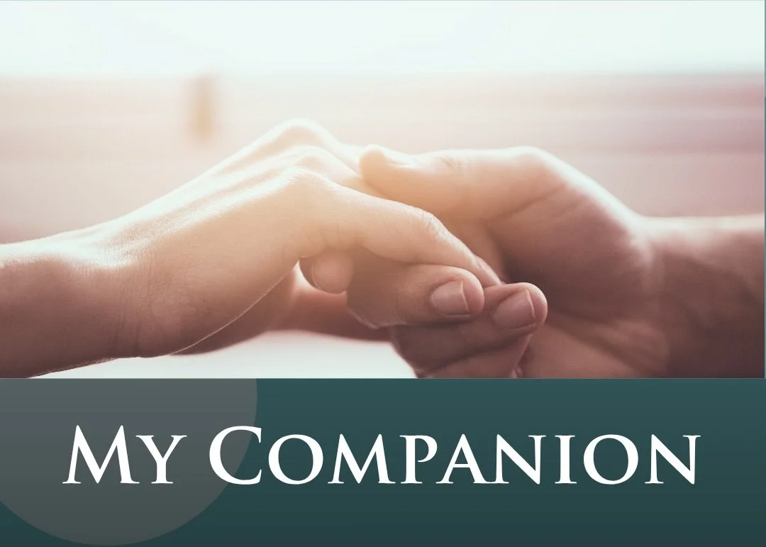 Holland Chorale performs 'This is How You Love'