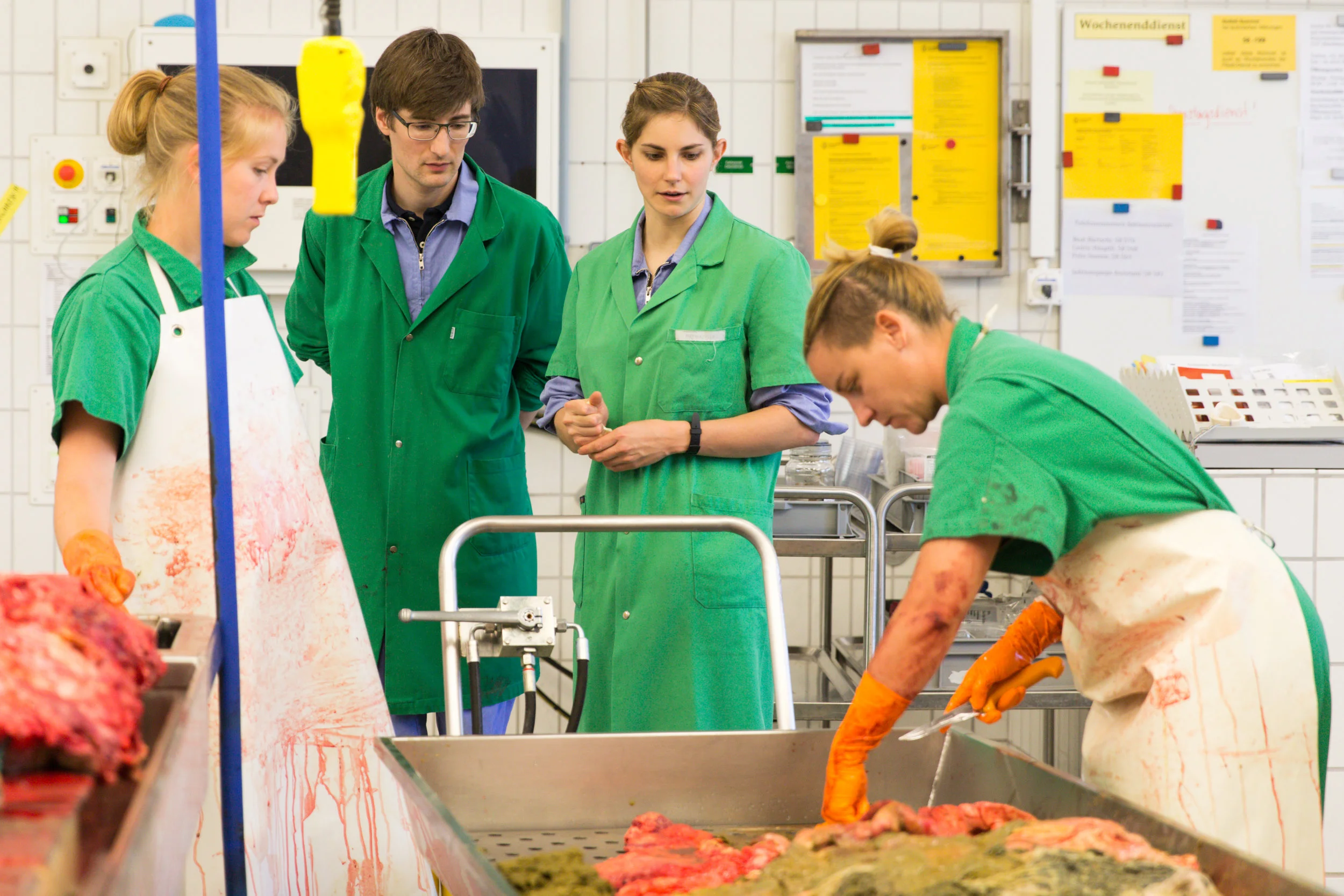 05282018_tierpathologie_134.jpg