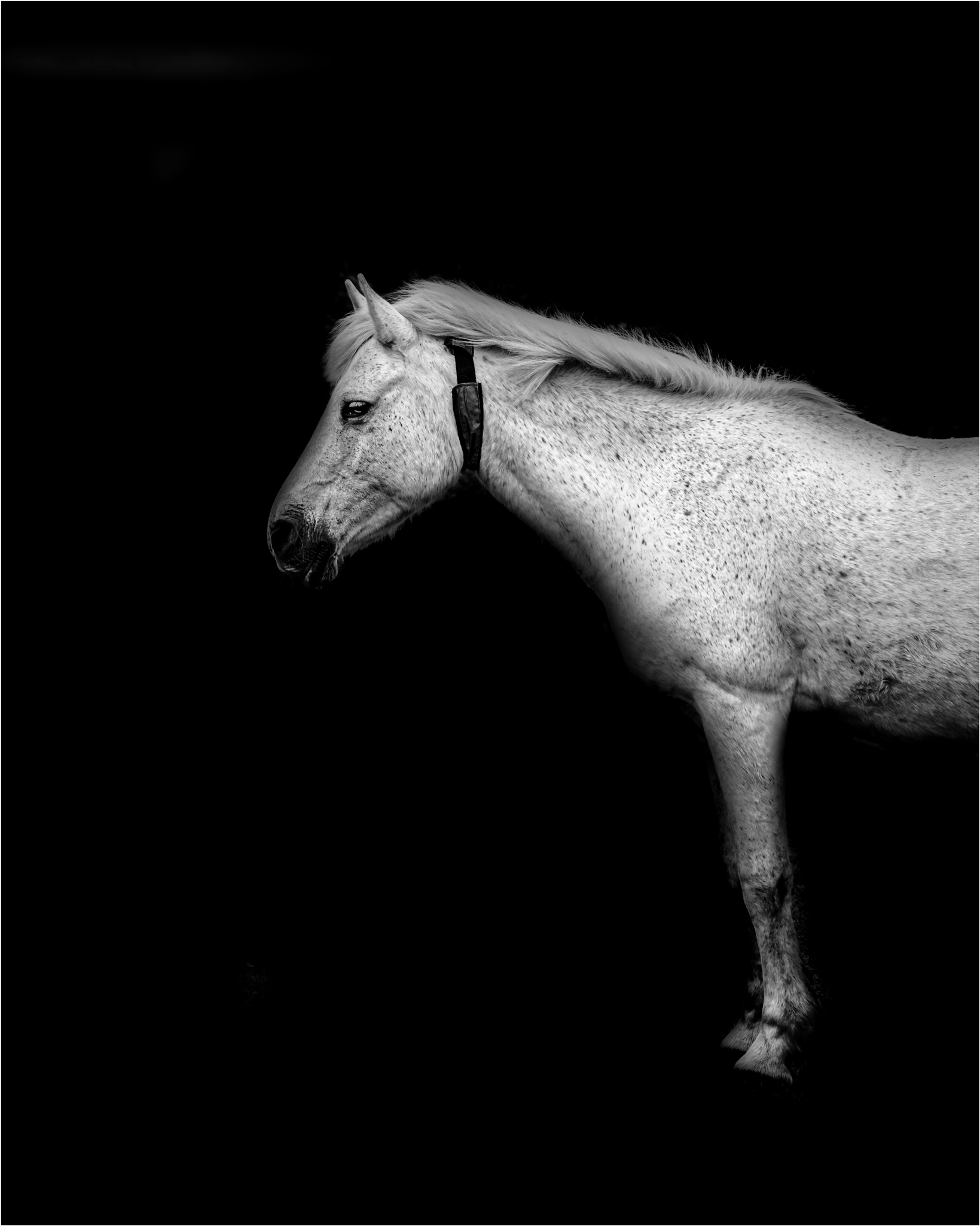Fine-Art-Portrait-4.jpg