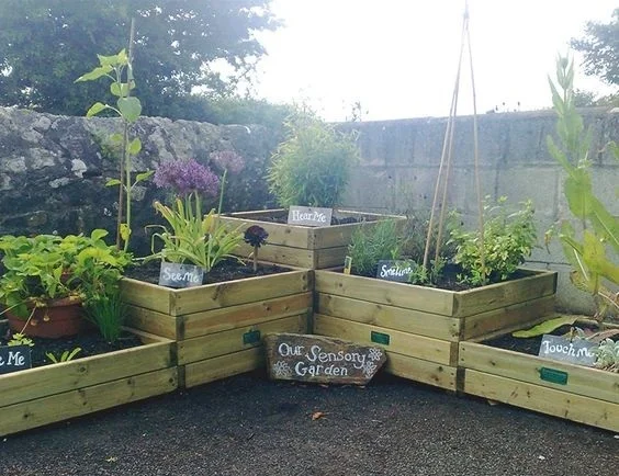 Sensory Planters.jpg