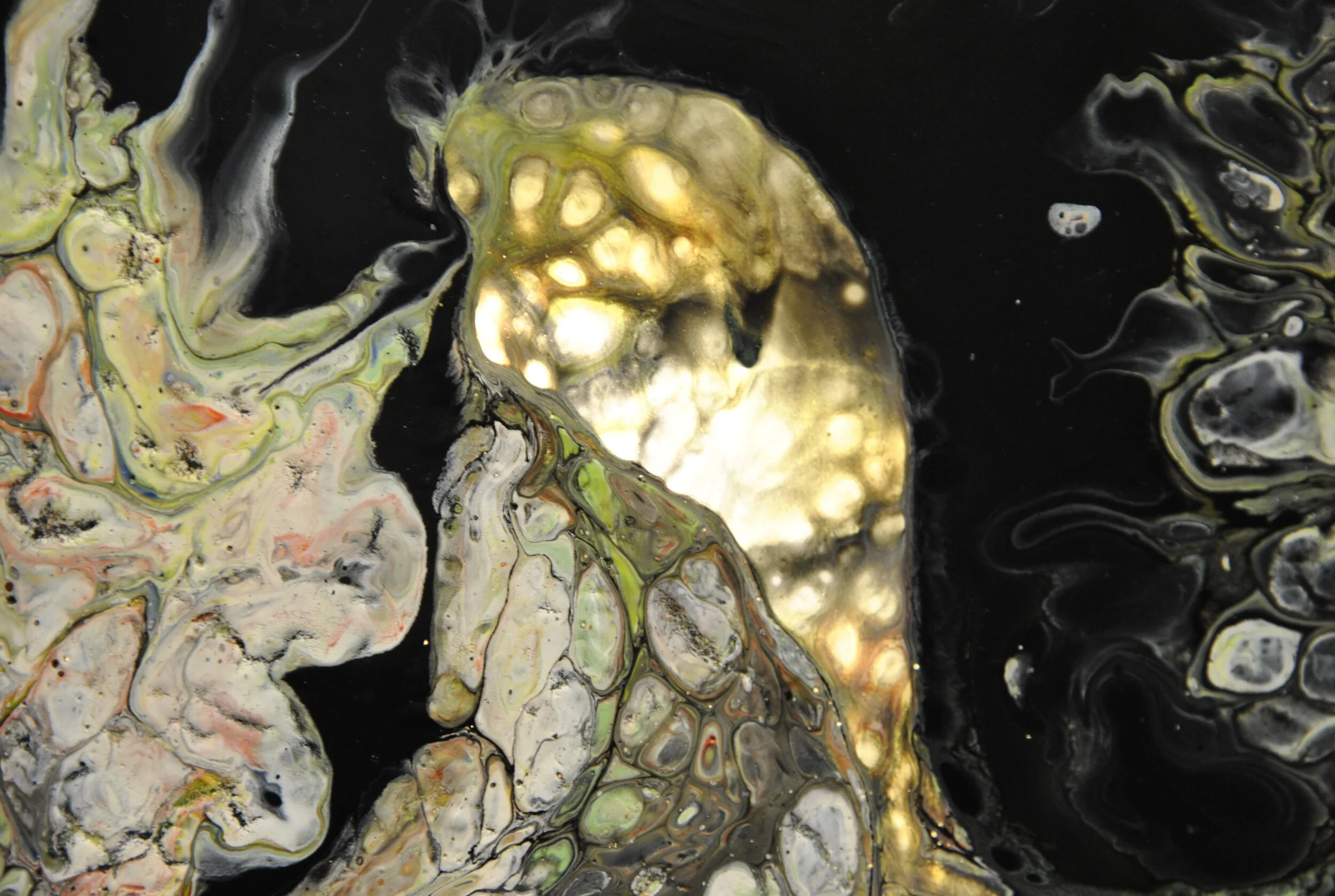 dragonluce part1.JPG