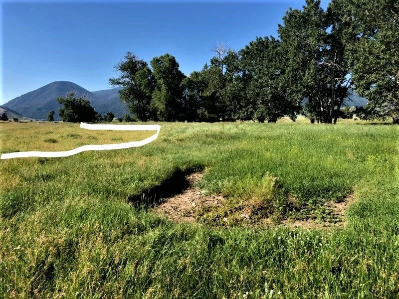 Here you can see the line where Jim emptied his sprayer on an otherwise untreated field. One gallon and one pound of Provide and Revive on the greener section to the right.