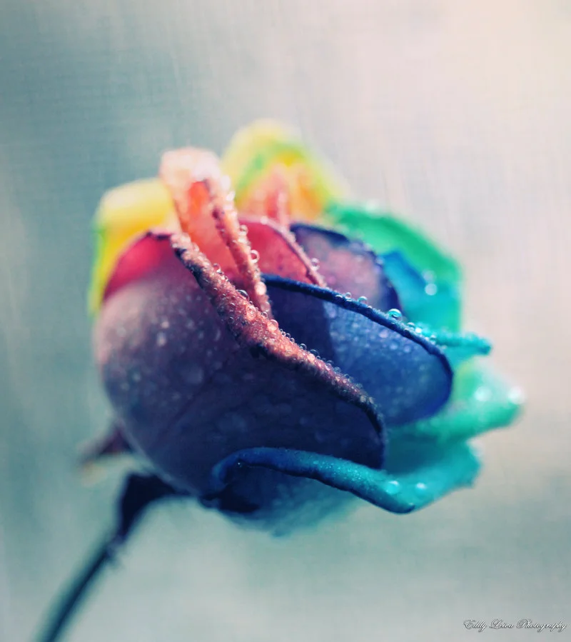 Where Shadows Meet - Reflections on Advent (1)