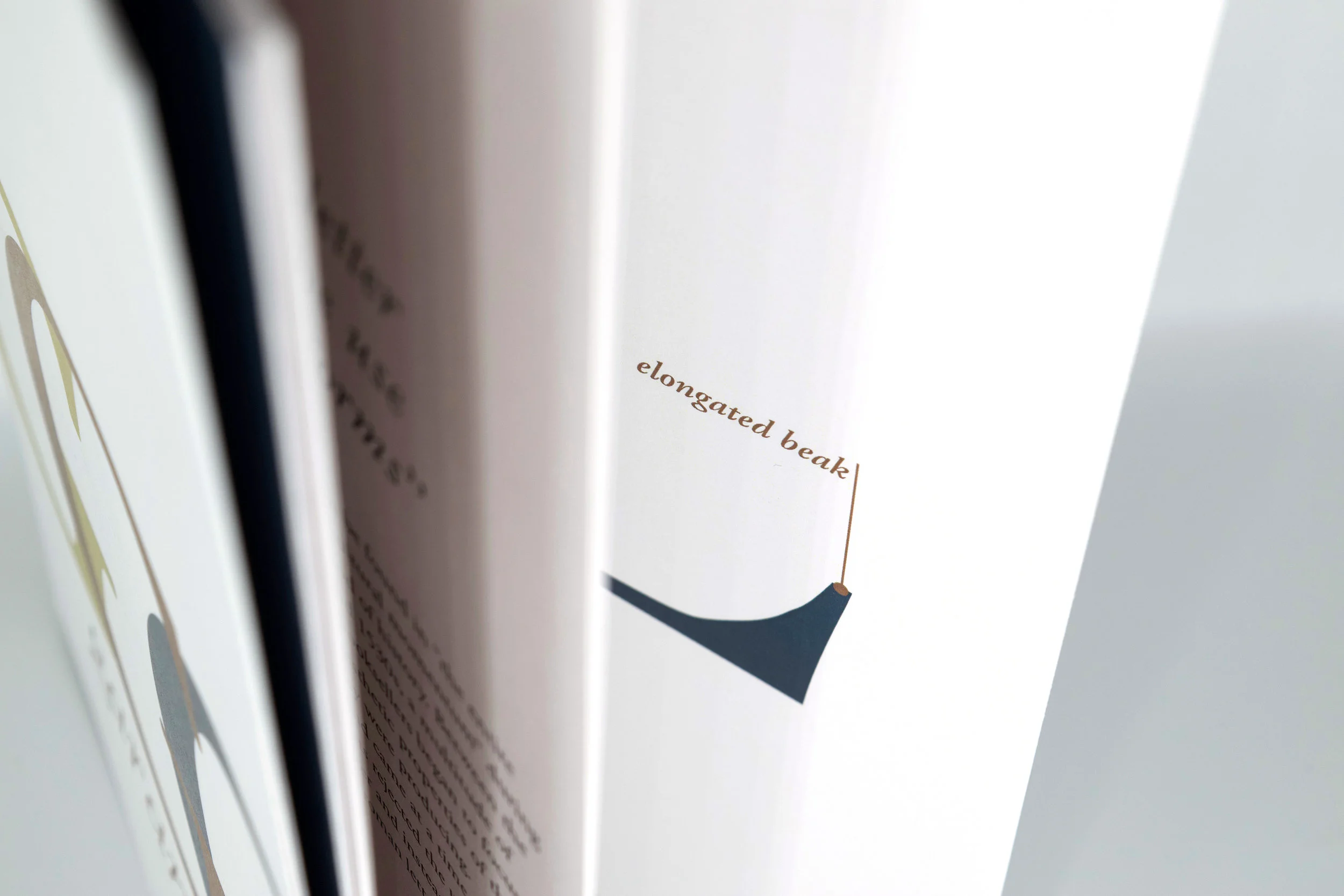 Garamond 1.jpg