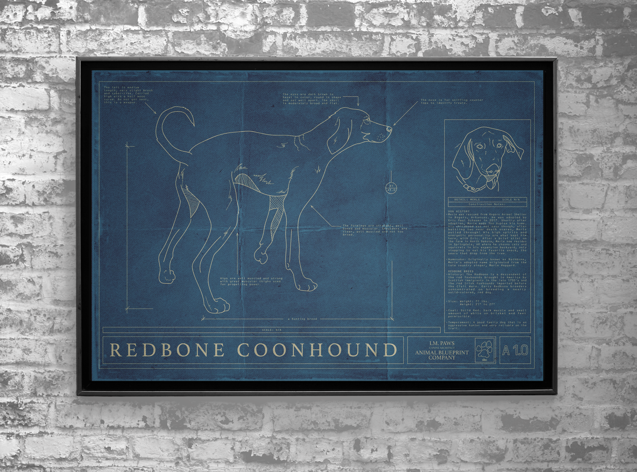 RedboneCoonhound_Poster.png