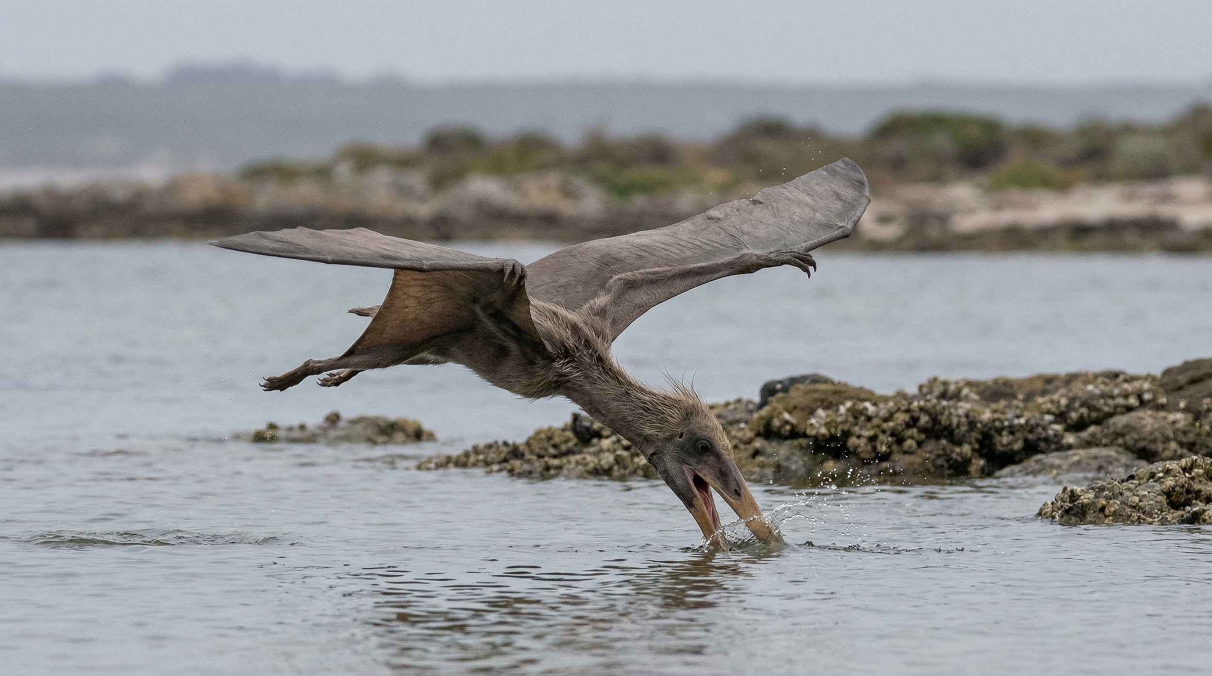 freepik__an-ordinary-wildlife-photograph-of-a-pterodactyl-p__9316.png
