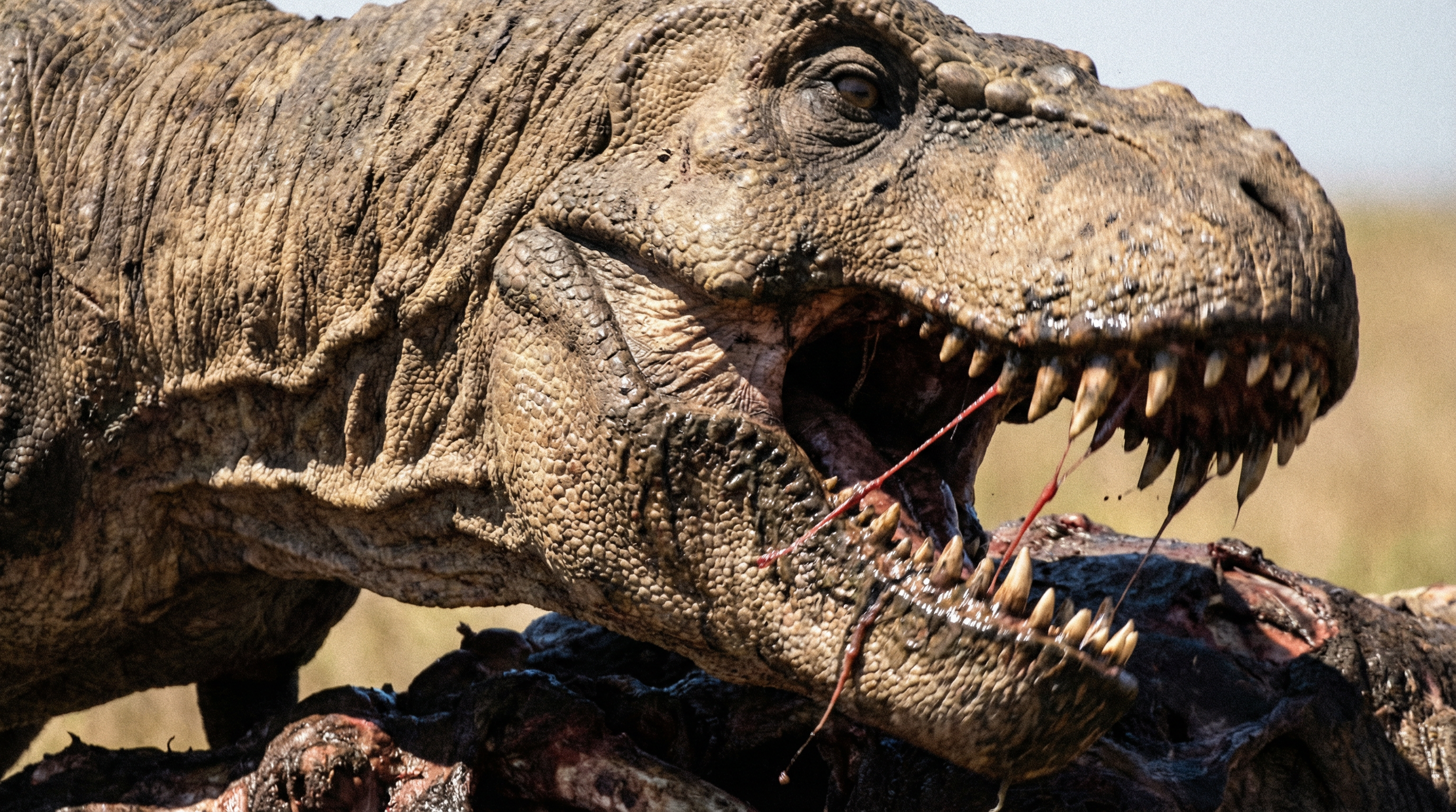 freepik__an-extreme-closeup-wildlife-photograph-of-an-trex-__9328.png