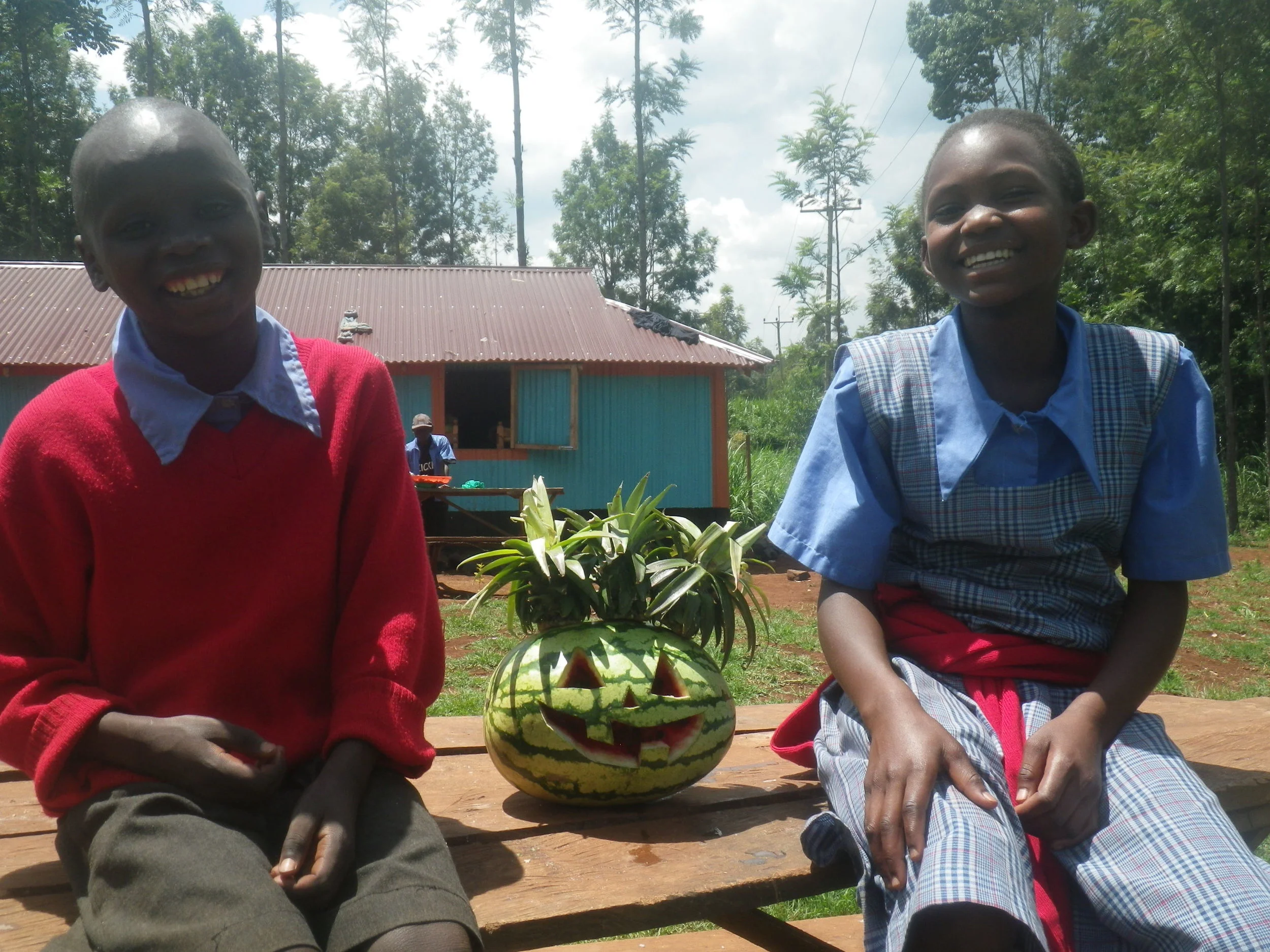 My Trip Home to the USA