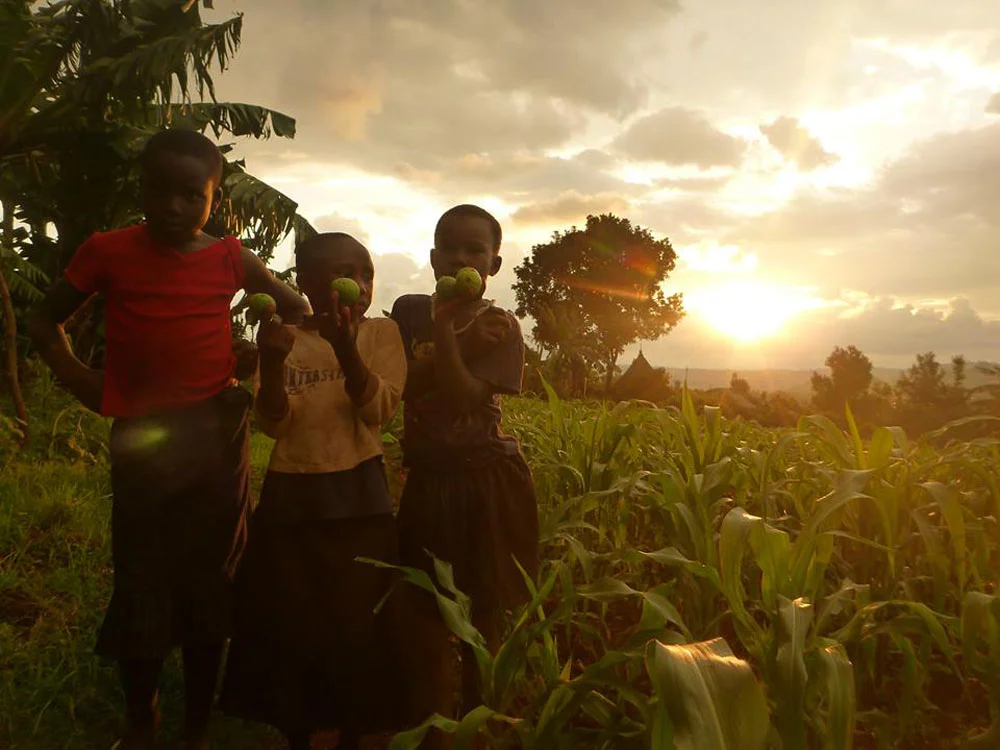 42 Tribes Under 1 Roof